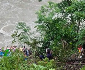 ️Paseo familiar termina en tragedia, mueren en acci ….Ver más