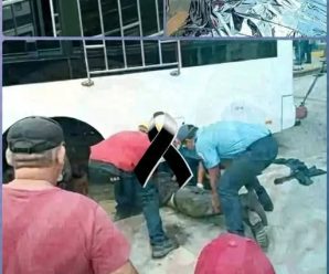 CAPTURAN ESPOSA DEL LÍDER DE LA MA…Ver más