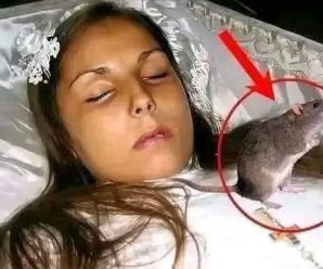 😱‼En el Funeral el Sacerdote descubrió que…Ver más