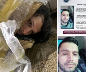 DESAPARECIÓ HACE 2 AÑOS EN MEXICALI, LO ENCUENTRAN VIVO EN… Ver más