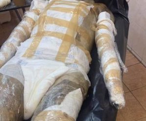 🕊️ AYUDA PARA IDENTIFICARLO Y LOCALIZAR A SU FAMILIA 🕊️…Ver más