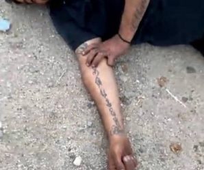 🕊 AYUDA PARA IDENTIFICARLO Y LOCALIZAR A SU FAMILIA 🕊…Ver más