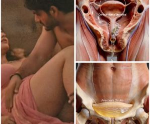 Si la situación te lleva a la intimidad, que NO se te ocurra ori….Ver más