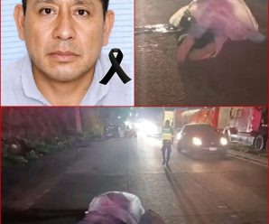 ¡ULTIMA HORA! Acaban de confirmar lo peor…Ver más