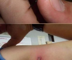 😱😱Sólo era una 🕷️ pero le provoc0 la m… ver más